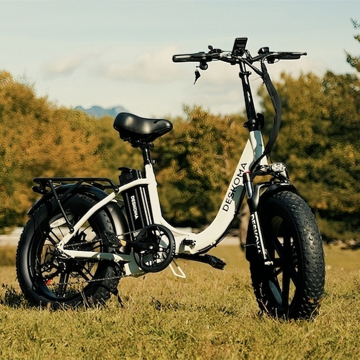 DESKOMA Step Thru Fat Tire Folding Bike